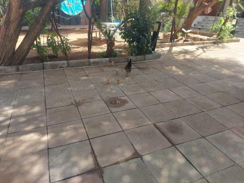 Peraklitos Vacation Home / Homestay