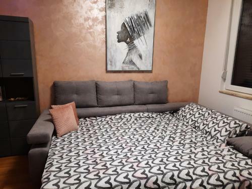 Relax Studio Apartman Novi Sad, Telep