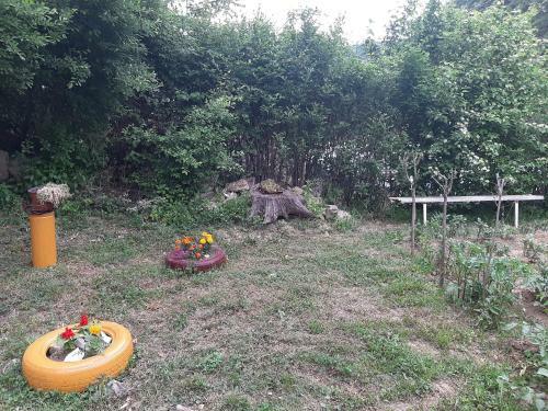 Apartamento ?umska Idila Rakovac