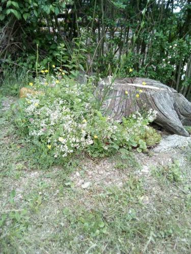 Apartamento ?umska Idila Rakovac