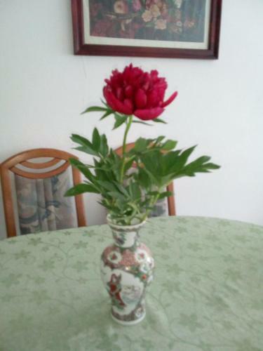 Apartamento ?umska Idila Rakovac