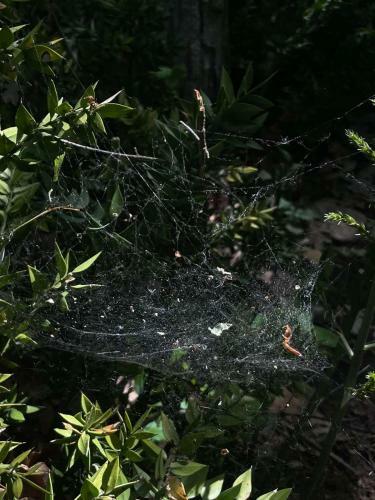 Apartamento ?umska Idila Rakovac