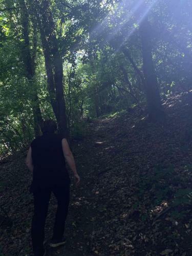 Apartamento ?umska Idila Rakovac