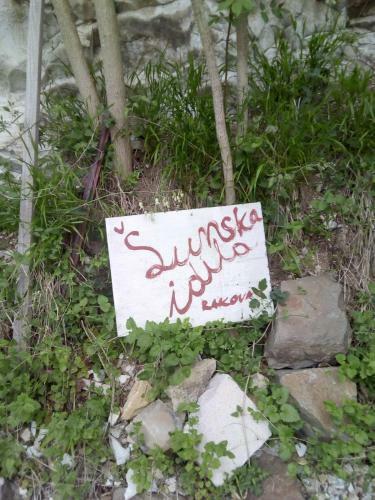 Apartamento ?umska Idila Rakovac