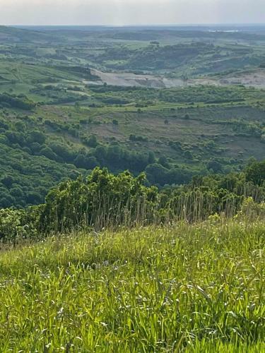 Apartamento ?umska Idila Rakovac