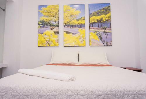 Hostal Hotel Casa Martina Valledupar
