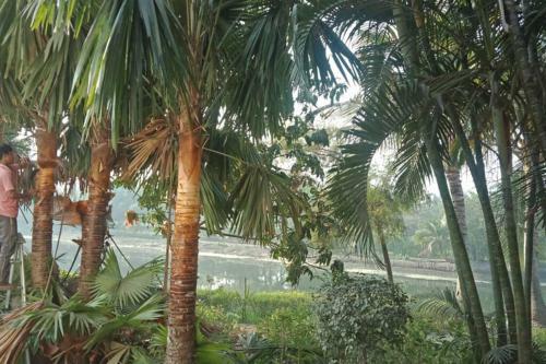 Villa Advani Home Stay - A Step Close To Paradise