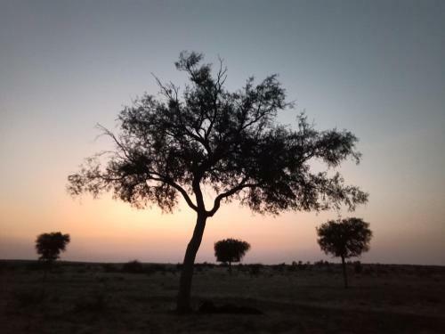 Bed & Breakfast Art Bliss Cafe Jaisalmer