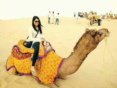Hotel Mehar Desert Resort