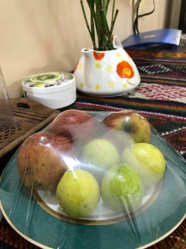 Tenam Garden Holistic Homestay
