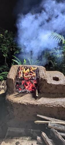 Tenam Garden Holistic Homestay