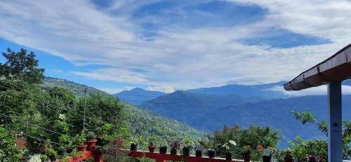 Bluebell Homestay