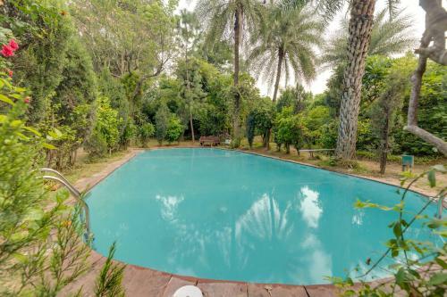 Villa Hostie Chinar Haveli - Heritage Home With Pool, Gurgaon