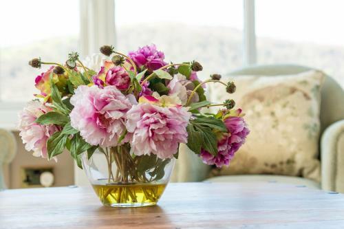 Hotel Plas Maenan Country House