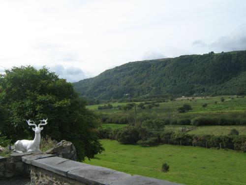 Hotel Plas Maenan Country House