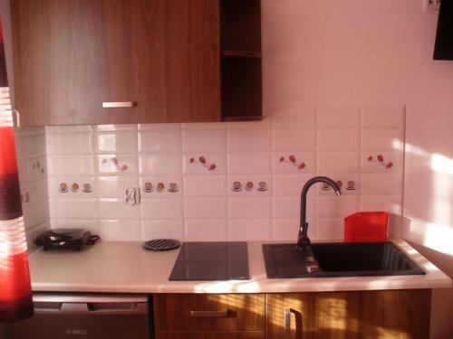Apartamento Willa Floryn