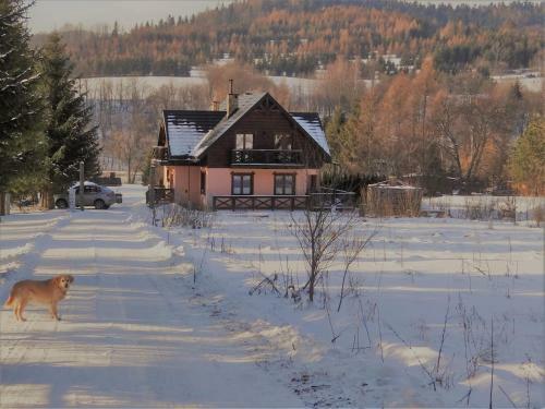 Bed & Breakfast Chata Pod Ryczywo?em