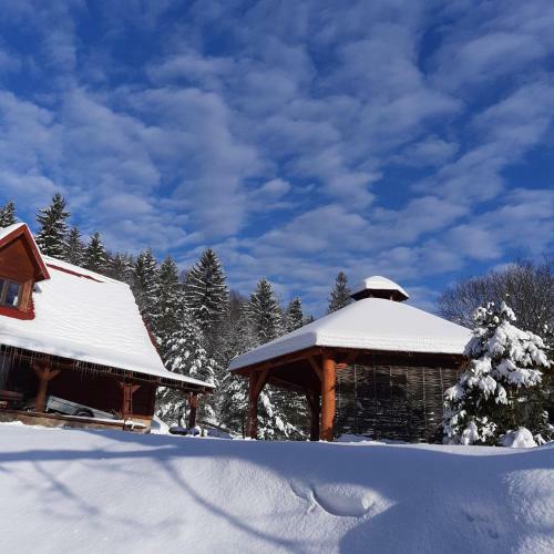 Apartamento Pegazowa Wola Cisna