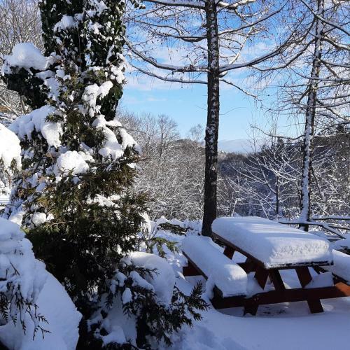 Apartamento Pegazowa Wola Cisna