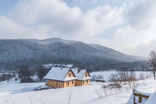 Lodge Krzywy Zak?tek