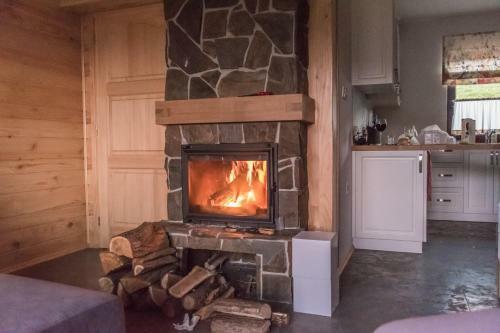 Lodge Krzywy Zak?tek