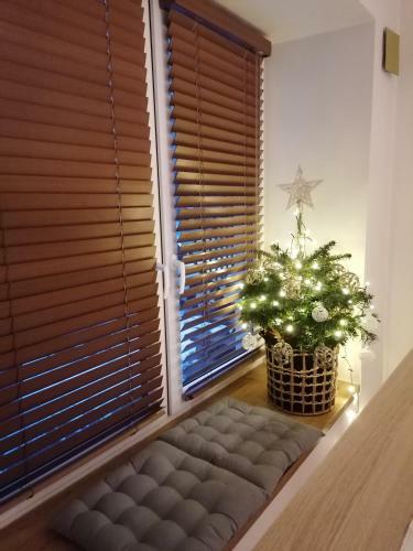Apartament Delux Aleja Nmp 8