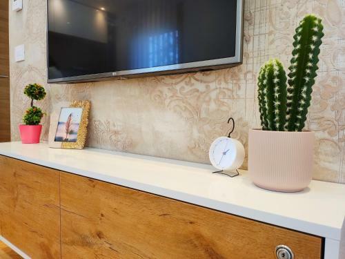 Apartman Silva Zlatibor