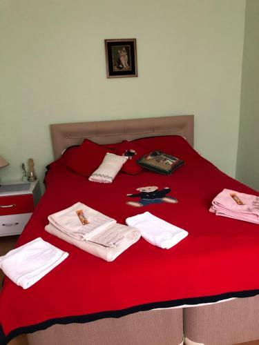 Apartamento Mavi Ladin Konukevi
