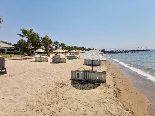 Sea And You Beachfront Apartments