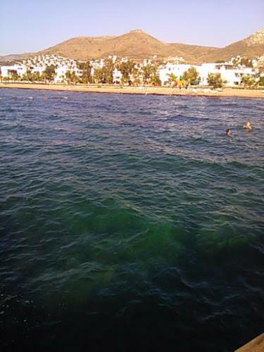Sea And You Beachfront Apartments