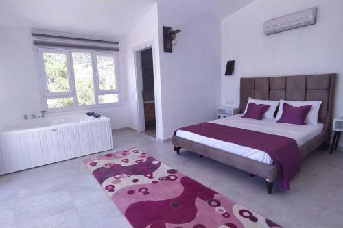 Muda Apart Kalkan