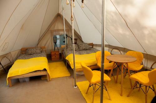 Glamping Z Alpakami