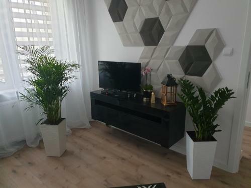 Apartament W Centrum Nad I?awk?