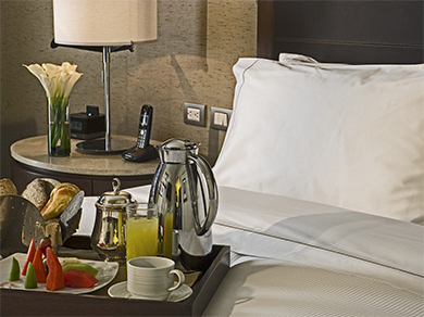 Hotel Fiesta Americana Queretaro