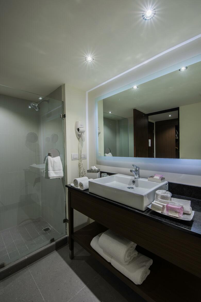 Hotel Holiday Inn Guadalajara Expo