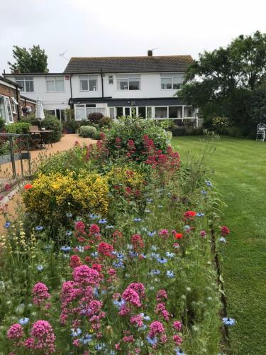 Hostal St Andrews Lodge Hotel - Guest House