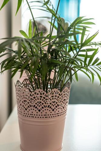 Apartamento Nadmorskie Patio