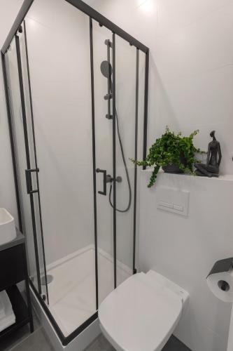 Harbor Apartments - Mariacka 26