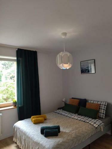 Apartment Rajzefiber - Spodek - Mck - Nospr