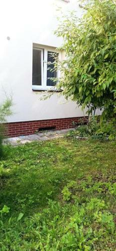 Apartment Rajzefiber - Spodek - Mck - Nospr