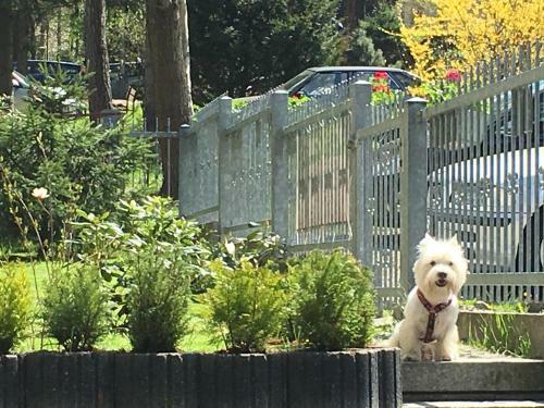 Apartamento Zimorodek