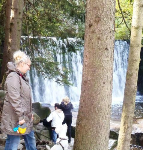 Apartamento Zimorodek