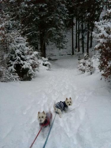 Apartamento Zimorodek