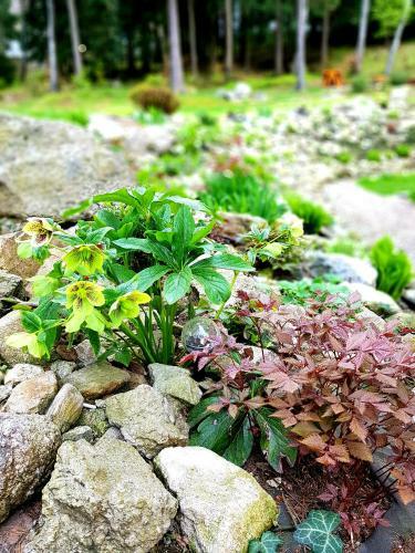 Apartamento Willa G�ralka