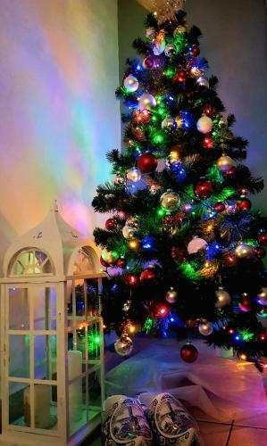 Apartamento Willa G�ralka