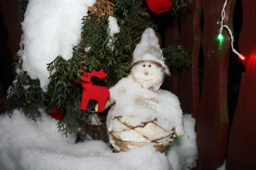 Apartament Kameralny