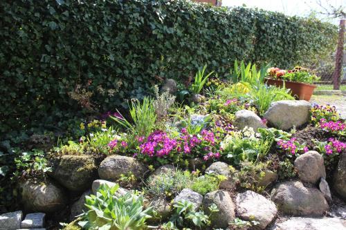 Apartament Kameralny