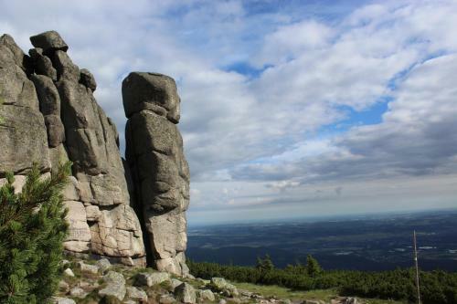 Apartament Kameralny