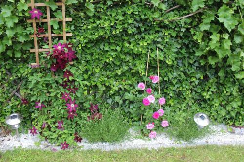 Apartament Kameralny