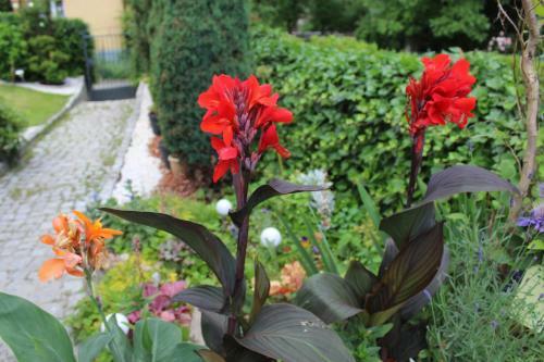 Apartament Kameralny